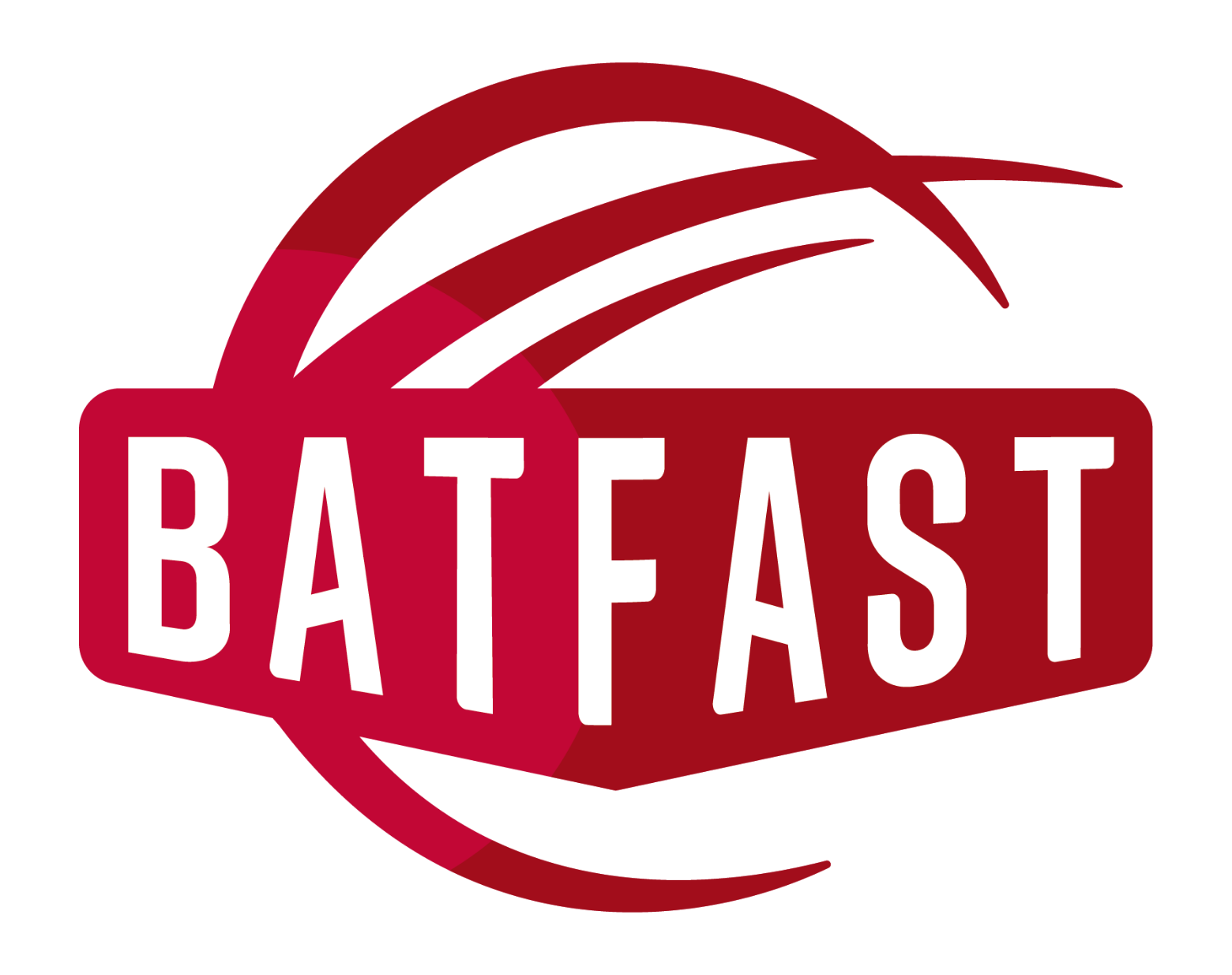 BatFast Cricket Simulators